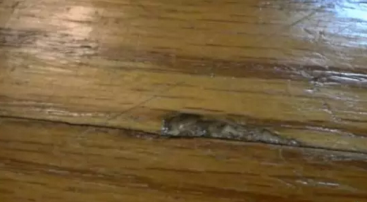 地板修復1.png 地板修復1.png