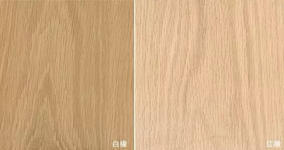 橡木3.png 橡木3.png