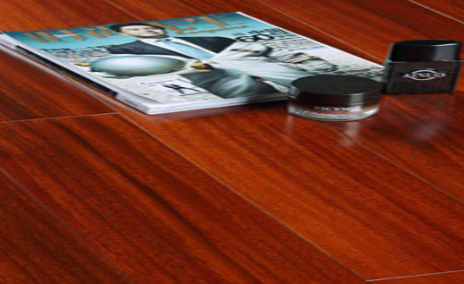 圓盤豆6.png 圓盤豆6.png