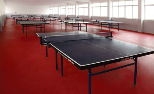 乒乓球地板3.png 乒乓球地板3.png