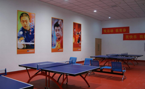 乒乓球地板5.png 乒乓球地板5.png