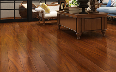 圓盤豆8.png 圓盤豆8.png