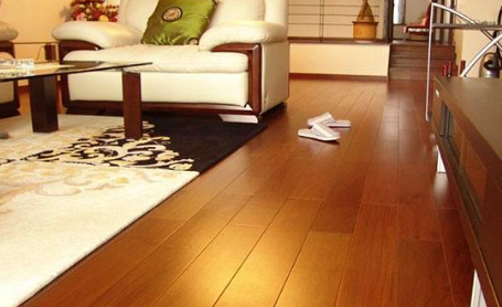 圓盤豆4.png 圓盤豆4.png