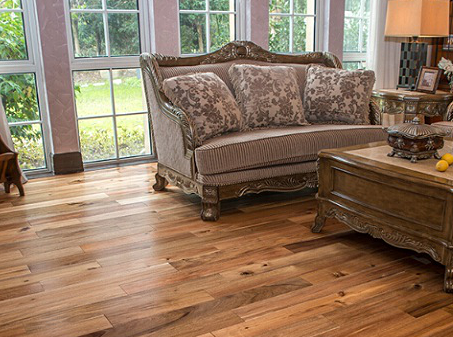 相思木1.png 相思木1.png