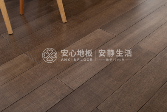 圓盤豆4.png 圓盤豆4.png