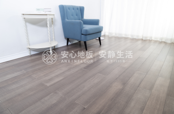 圓盤豆3.png 圓盤豆3.png