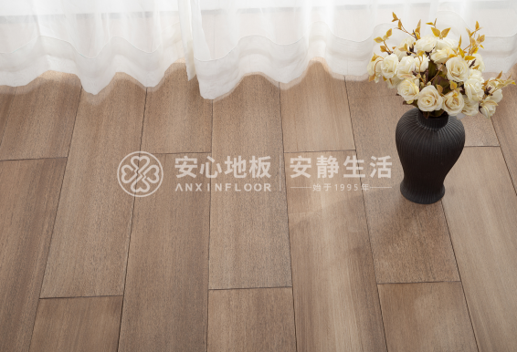 圓盤豆5.png 圓盤豆5.png